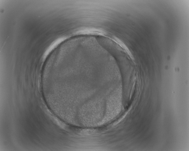 X0000082741277200702240003