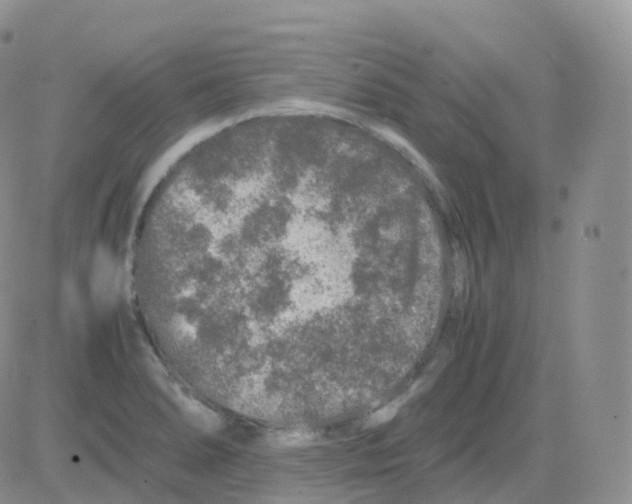 X0000082741278200702240003