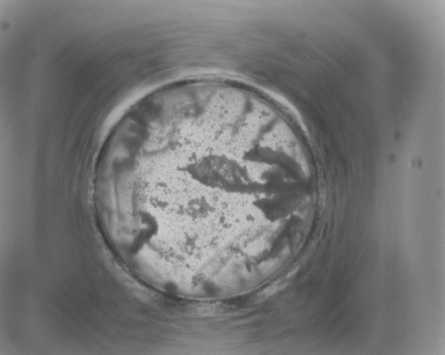 X0000082741279200702240003