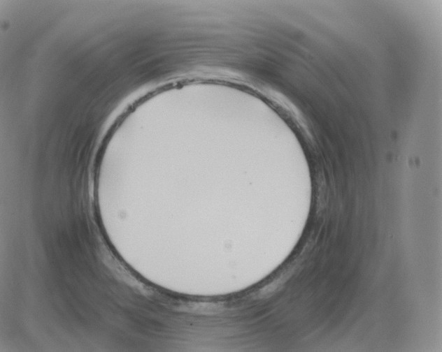 X0000082741280200702240003