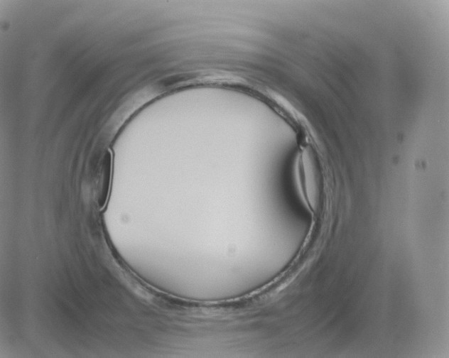 X0000082741281200702240003