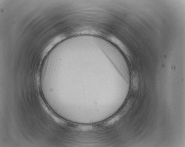 X0000082741282200702240003