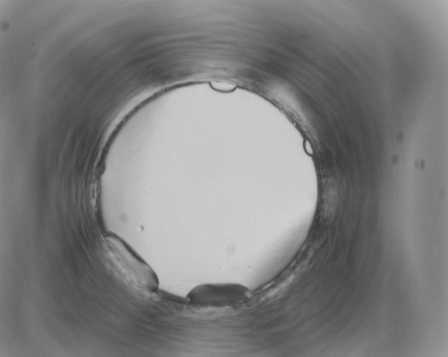 X0000082741284200702240003