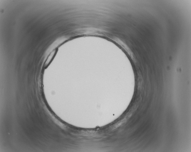 X0000082741285200702240003