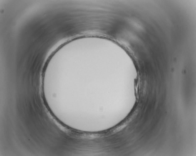 X0000082741286200702240003