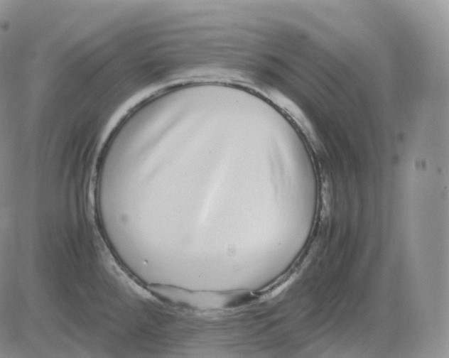 X0000082741288200702240003