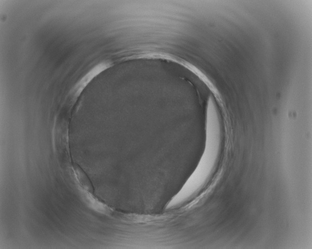 X0000082741289200702240003