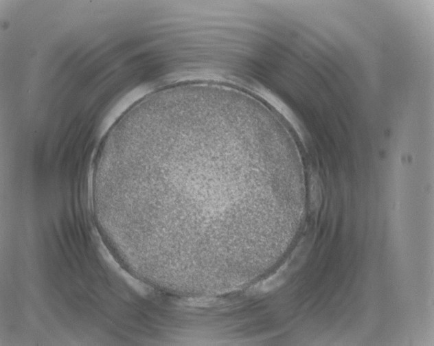 X0000082741290200702240003