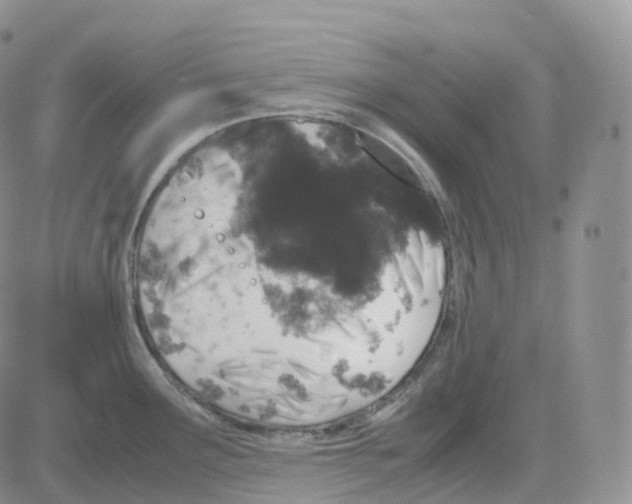 X0000082741291200702240003