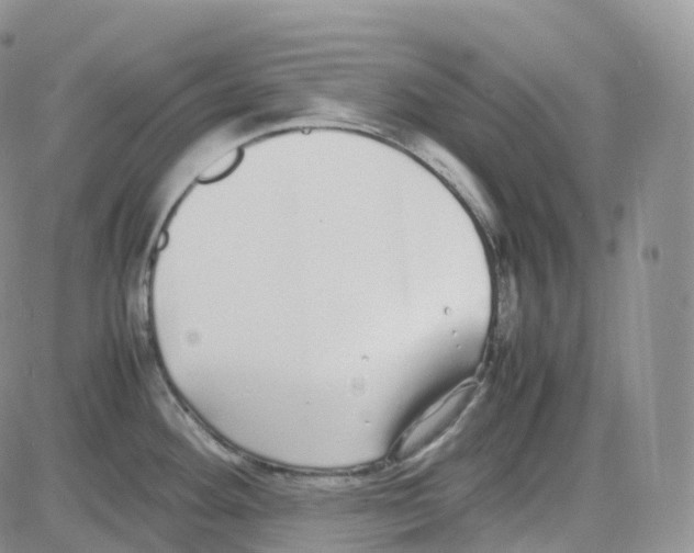 X0000082741292200702240003