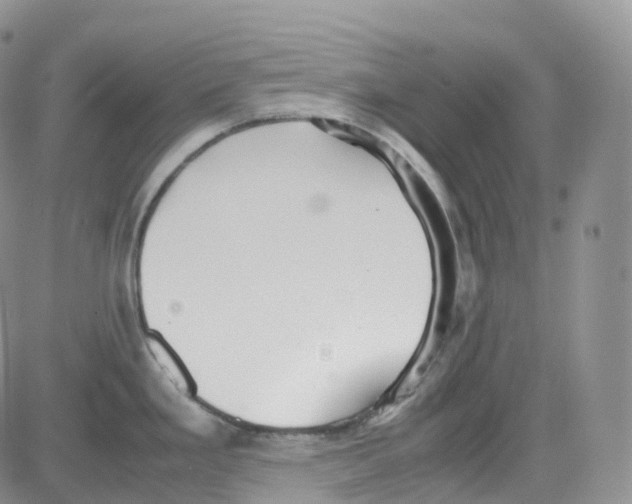 X0000082741293200702240003