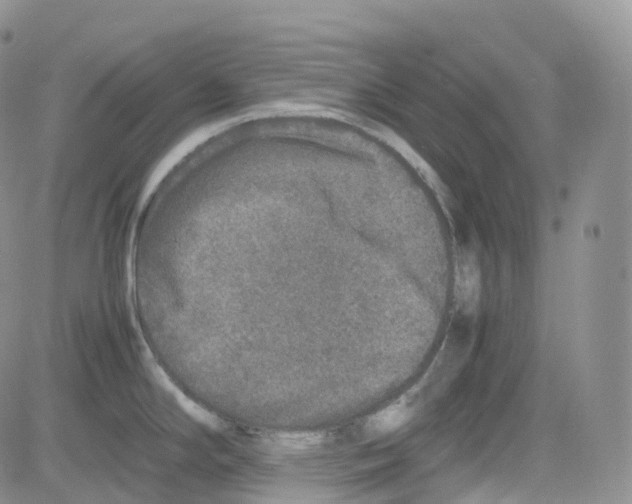 X0000082741294200702240003