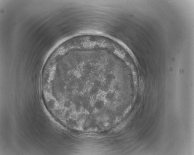 X0000082741295200702240003