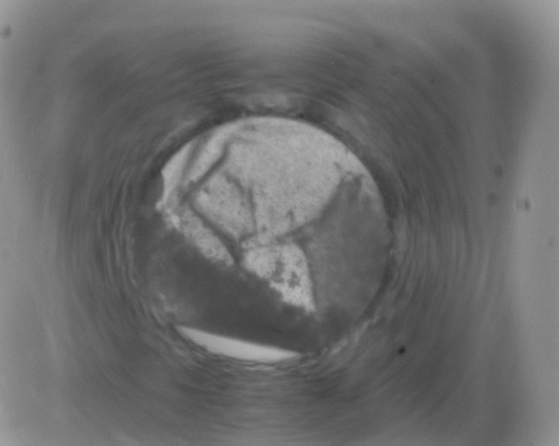 X0000082741297200702240002