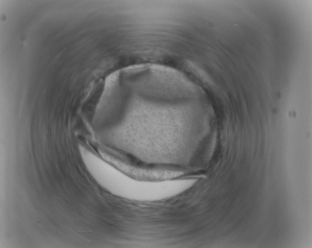 X0000082741298200702240002