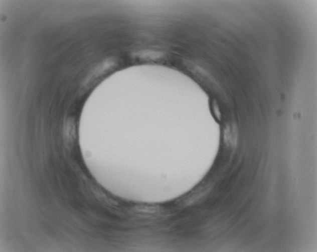 X0000082741299200702240002