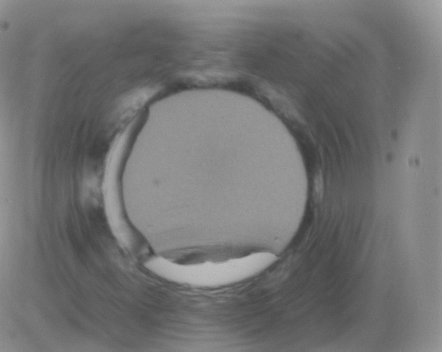 X0000082741300200702240002