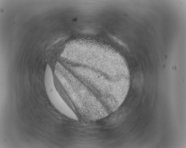 X0000082741301200702240002