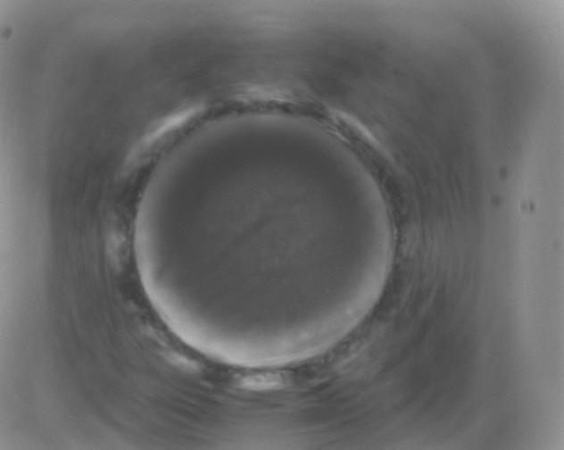 X0000082741303200702240002