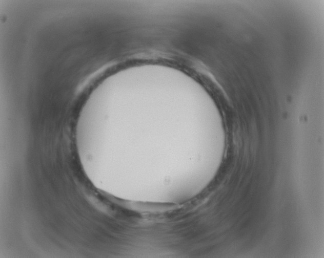 X0000082741304200702240002