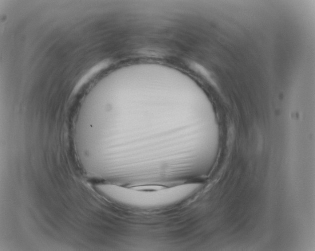 X0000082741307200702240003