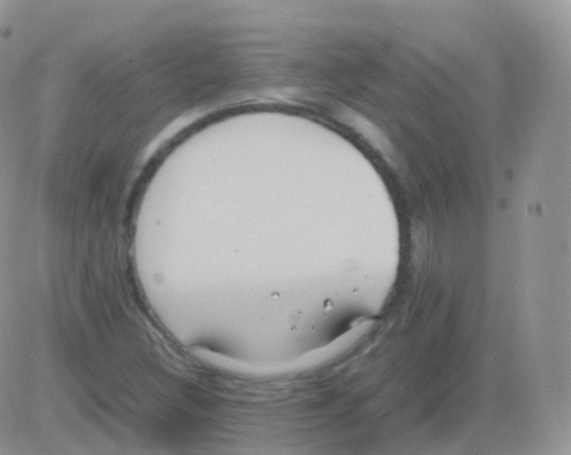 X0000082741308200702240003