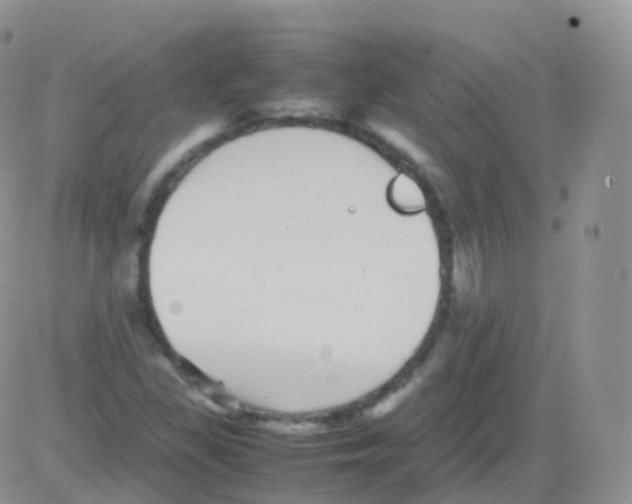 X0000082741309200702240003