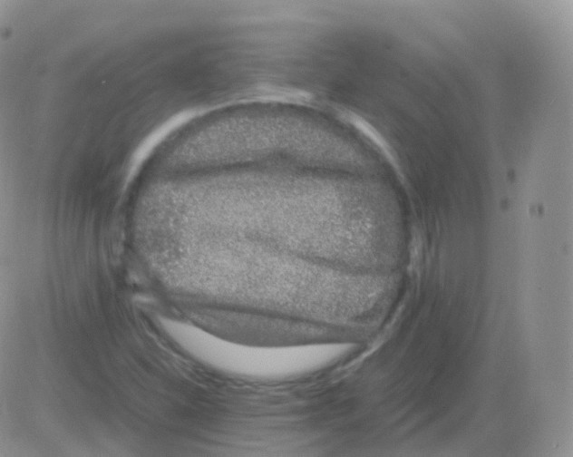 X0000082741310200702240003