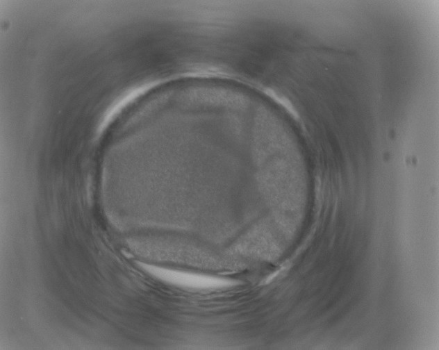 X0000082741311200702240003