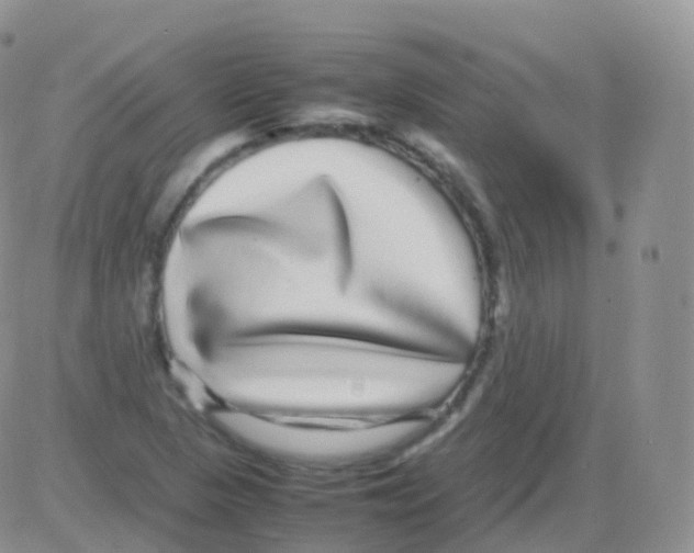 X0000082741313200702240003