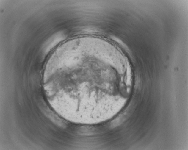 X0000082741314200702240003