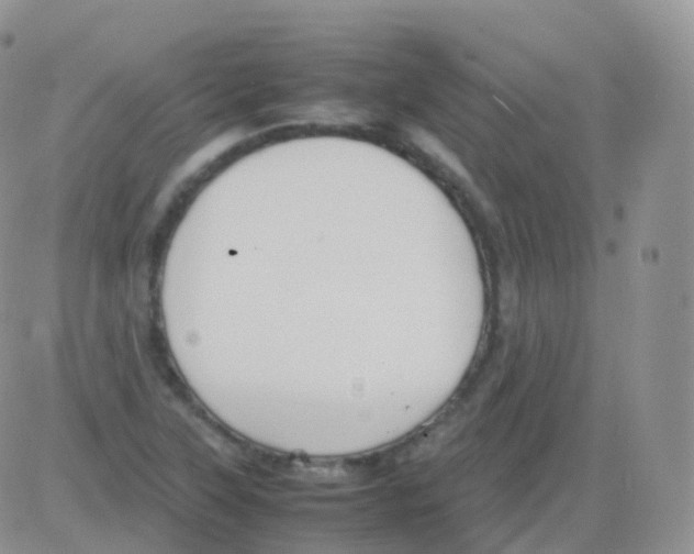 X0000082741315200702240003