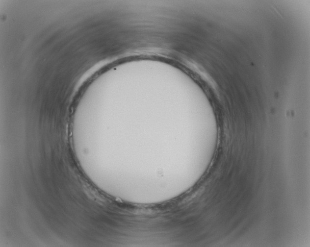 X0000082741316200702240003