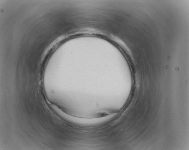 X0000082741318200702240003