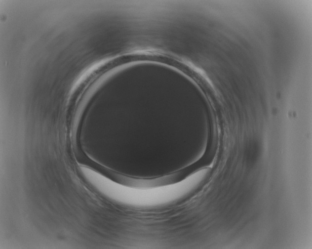 X0000082741319200702240003