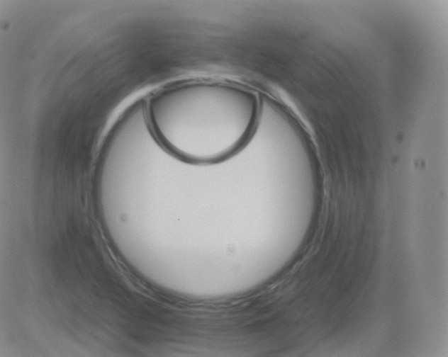 X0000082741320200702240003