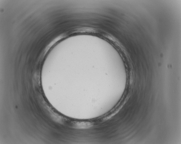 X0000082741321200702240003