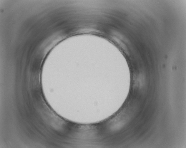 X0000082741322200702240003