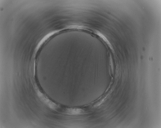 X0000082741323200702240003