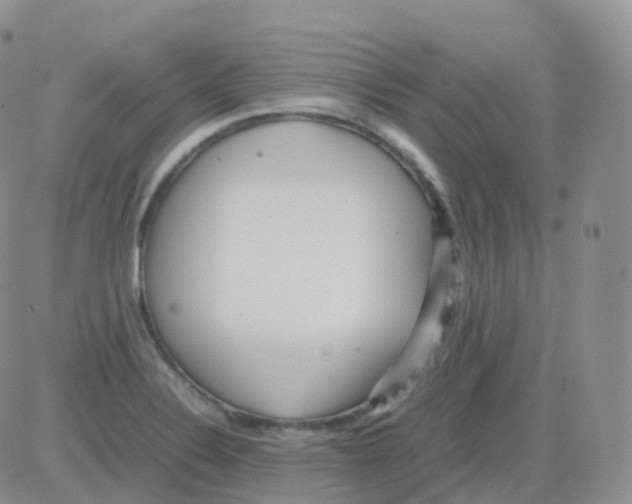 X0000082741324200702240003