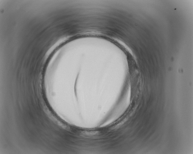 X0000082741325200702240003