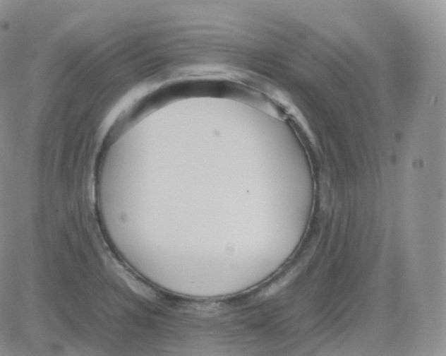 X0000082741328200702240003