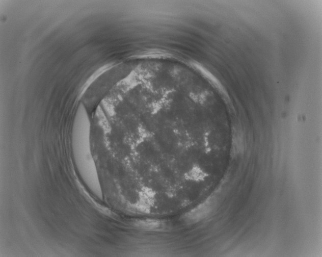 X0000082741329200702240003