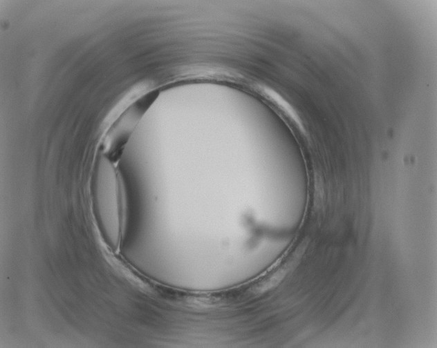 X0000082741330200702240003