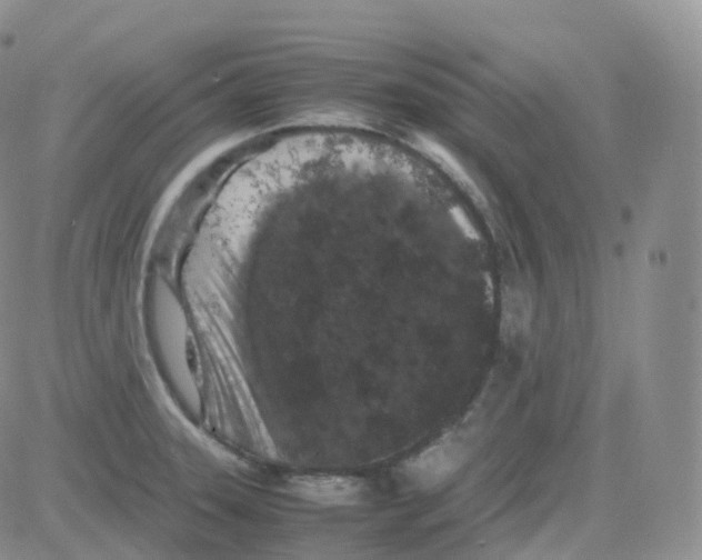 X0000082741331200702240003