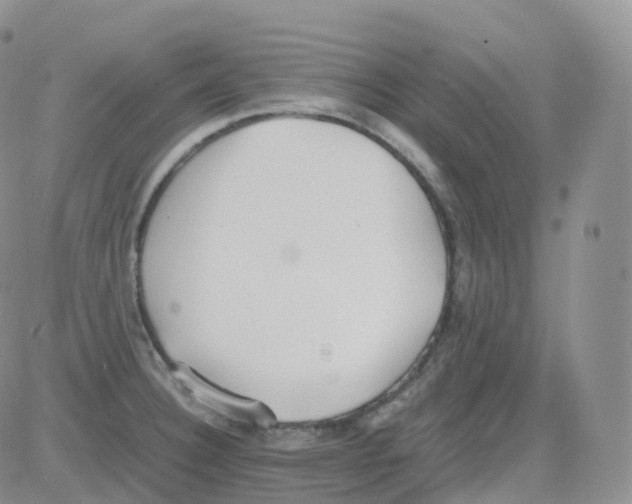 X0000082741332200702240003