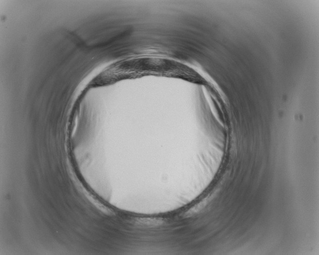 X0000082741333200702240003