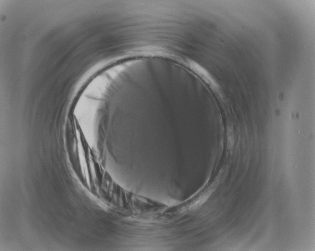 X0000082741334200702240003