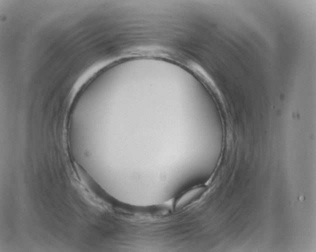 X0000082741336200702240003