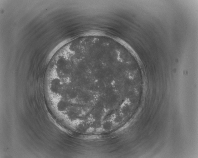 X0000082741337200702240003